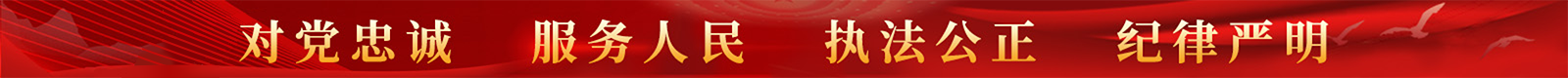 对党忠诚，服务人民，执法公正，纪律严明