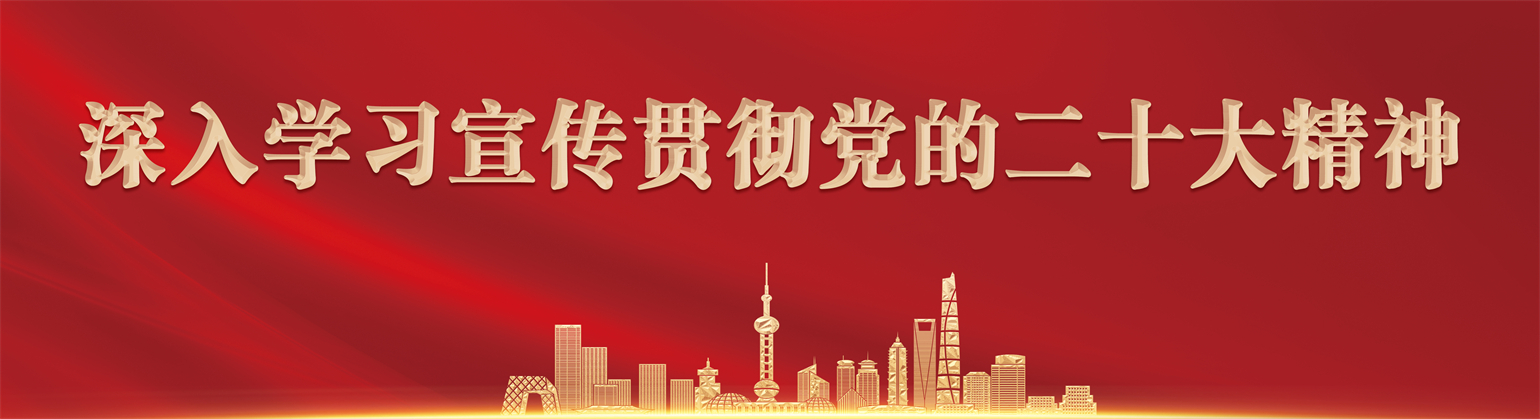 深入学习宣传贯彻党的二十大精神